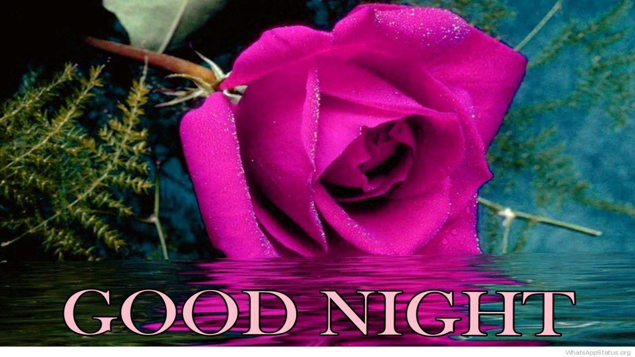 beautiful good night images